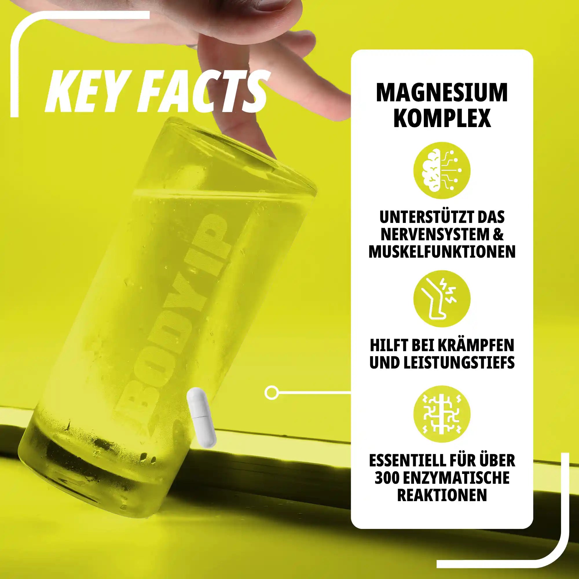 Perfect Magnesium Komplex BODY IP Key Facts